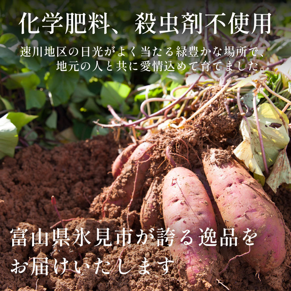 富山県産さつまいも（しっとり！シルクスイート）約5kg