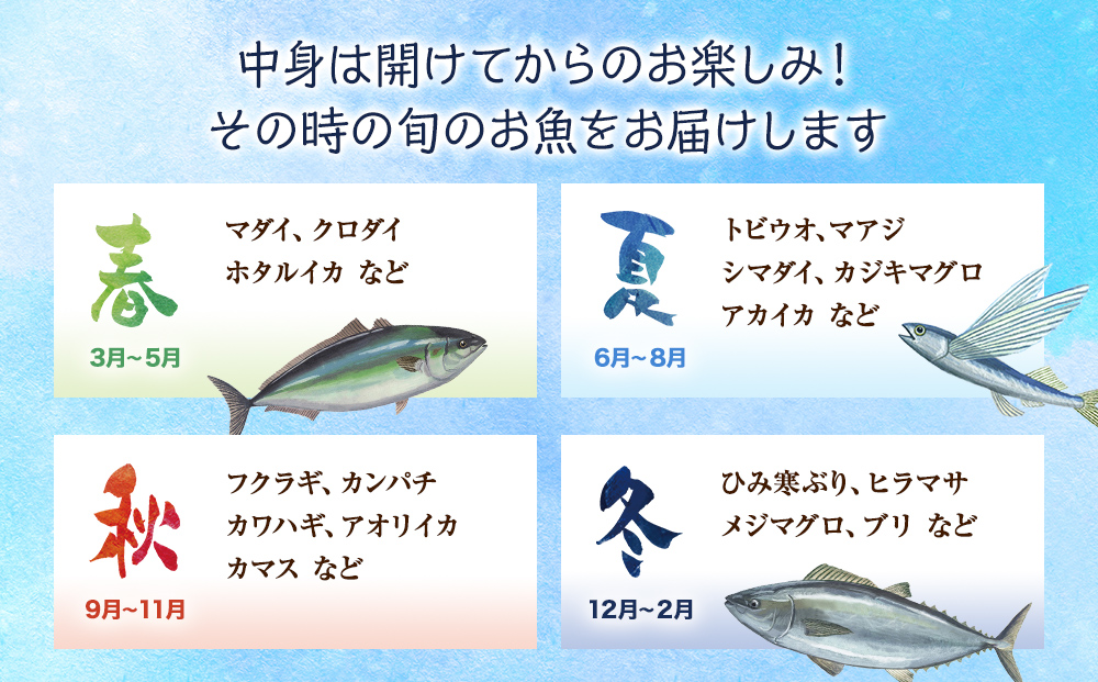 【配送地域限定】 産地直送 氷見漁港 朝どれ鮮魚お刺身セ