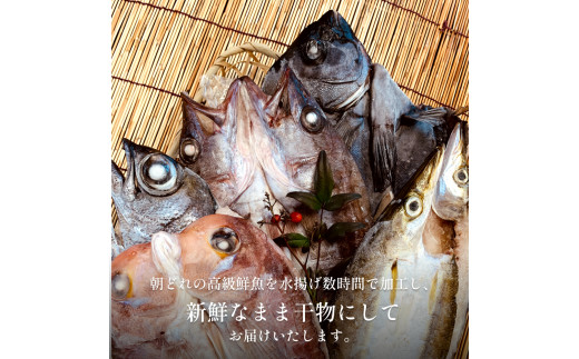 完全受注生産！干物セット 贅 -Zei- | 贅沢な高級干物セット