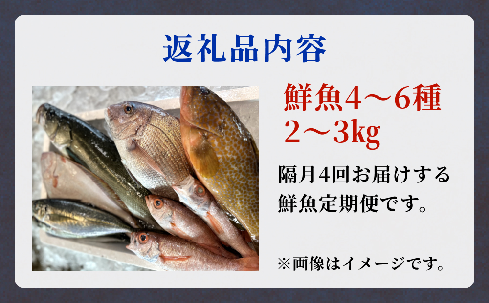 【隔月4回定期便】氷見港朝獲れ高級魚！丸っと贅沢直送便