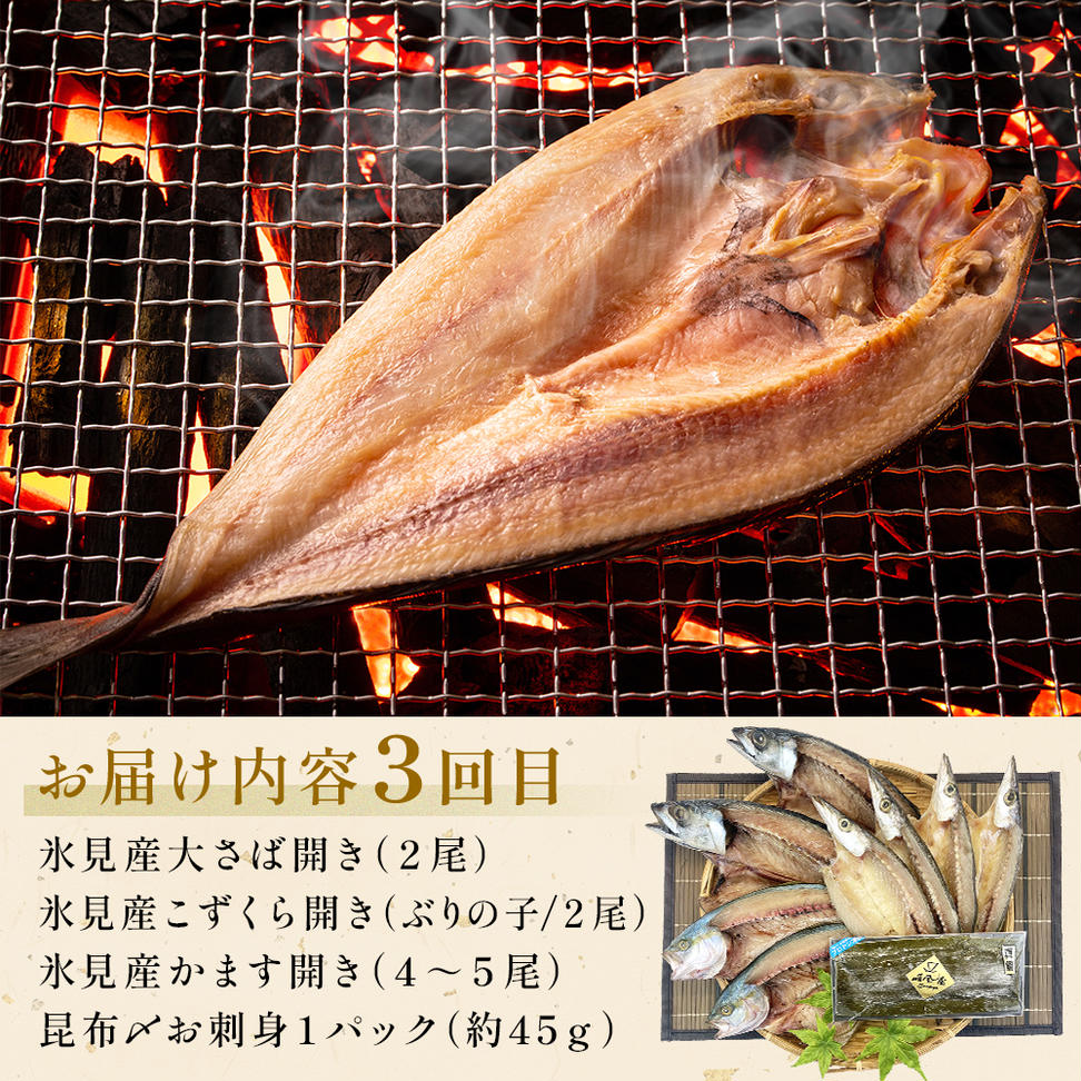 〈隔月4回定期便〉 富山県氷見尽くし！「氷見ぶり」「氷見