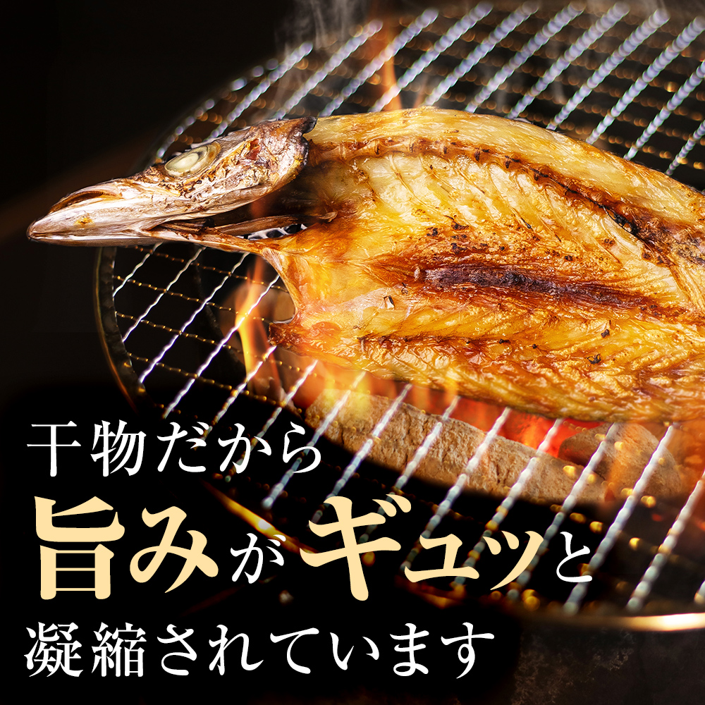〈日本海氷見の幸７種〉 鱈場おすすめ一夜干し「カマス」