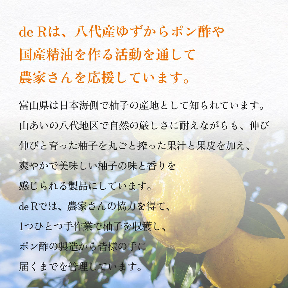 氷見のポン酢　八代ゆず 120mL ＜2026年1月下旬以降順次発送