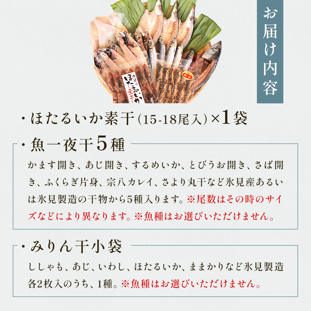 氷見 堀与 一夜干5種とみりん干とほたるいかの素干 富山県 