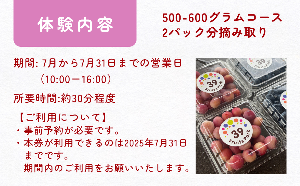 ブルーベリー摘み取り体験 小4パック（500～600グラム程度）