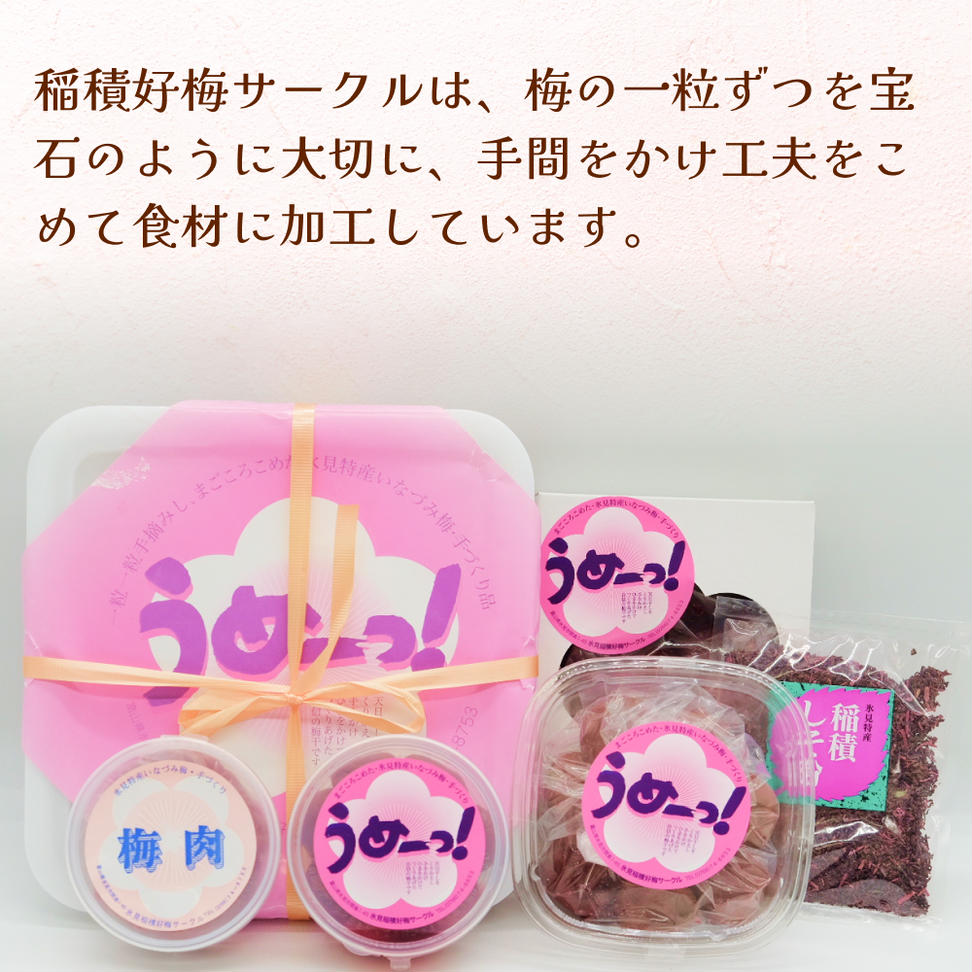 うめーっ！氷見稲積梅　梅干し1kg 富山県 氷見市 梅干 1キロ