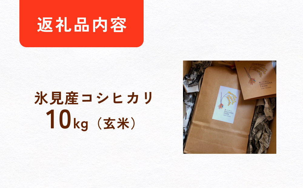 令和7年産 富山県氷見産 コシヒカリ 玄米 10kg ＜2025年10月中