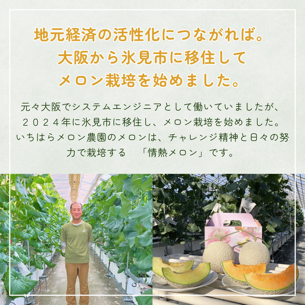 【訳あり】富山県産 アールスメロン（おまかせ計2個）  富