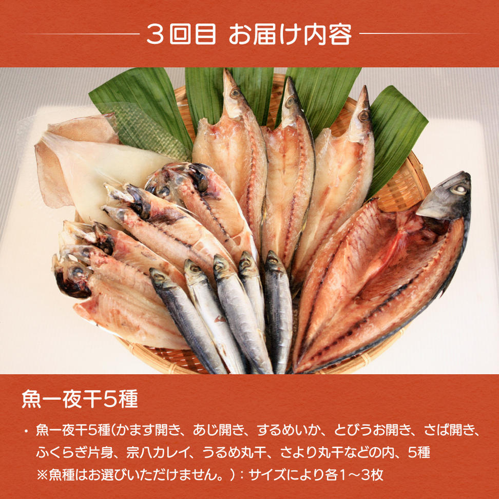 【6ヶ月隔月お届け】氷見堀与 一夜干・昆布〆刺身と山海の