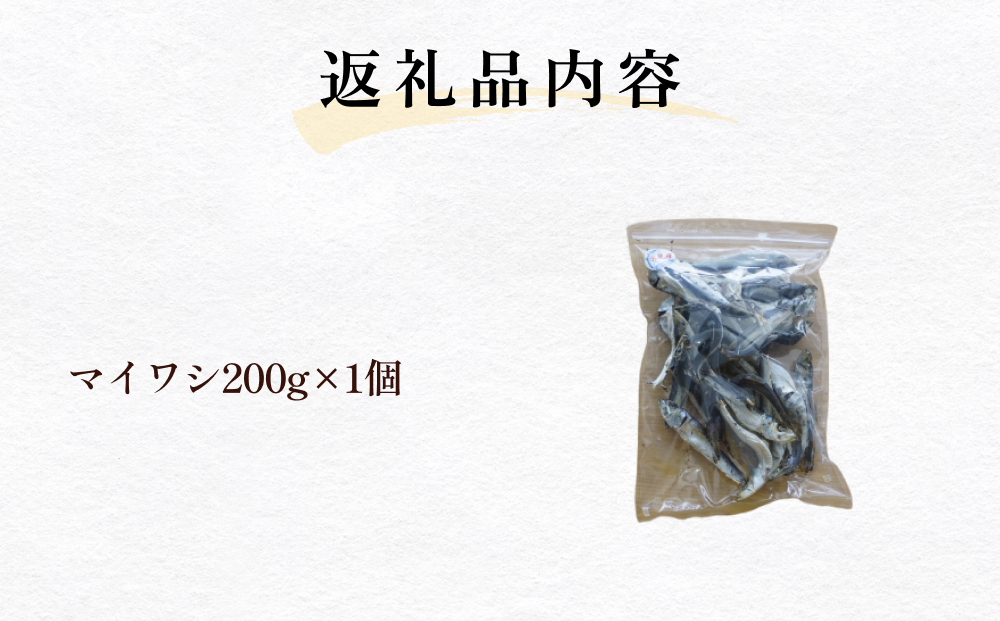 氷見産マイワシ煮干し　1個 富山県 氷見市 鰯 イワシ 煮干