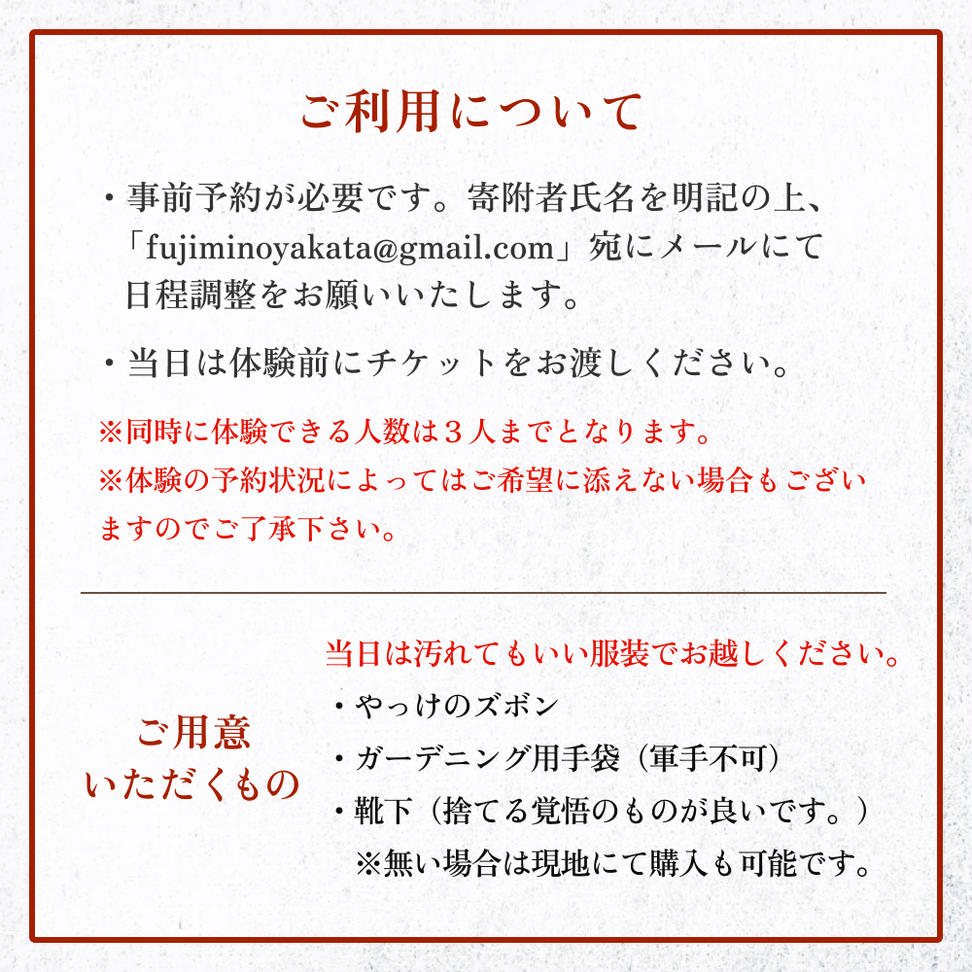 藤箕(小箕)作り体験 1人 富山県 氷見市 体験 伝統技術 少人