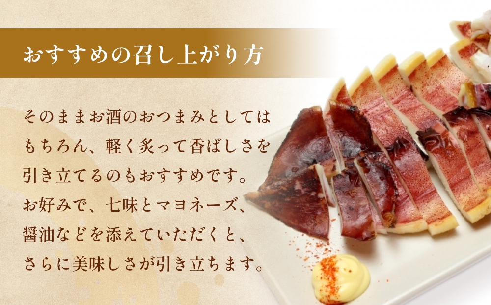 するめいか一夜干し 8枚 富山県 氷見市 イカ 干物