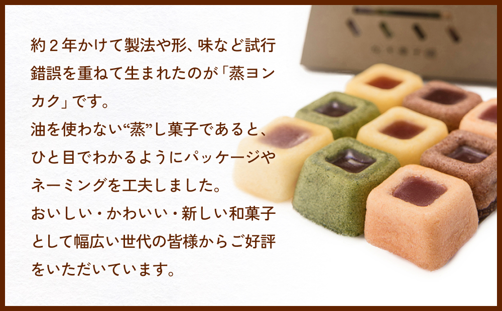 蒸ヨンカク 2袋 富山県 氷見市 和菓子 焼き菓子 羊羹 