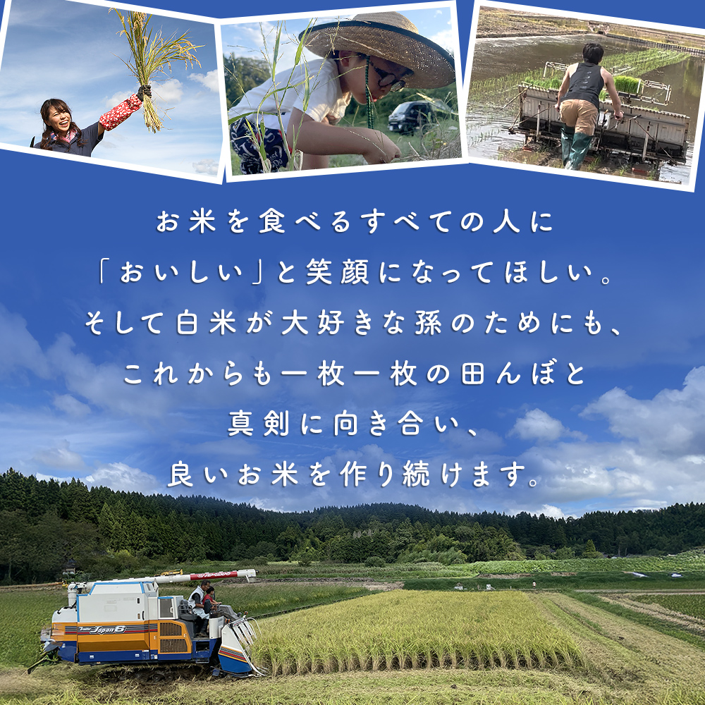 【3ヶ月定期便】コシヒカリ5kg 無洗米 富山県氷見産 ＜2025年