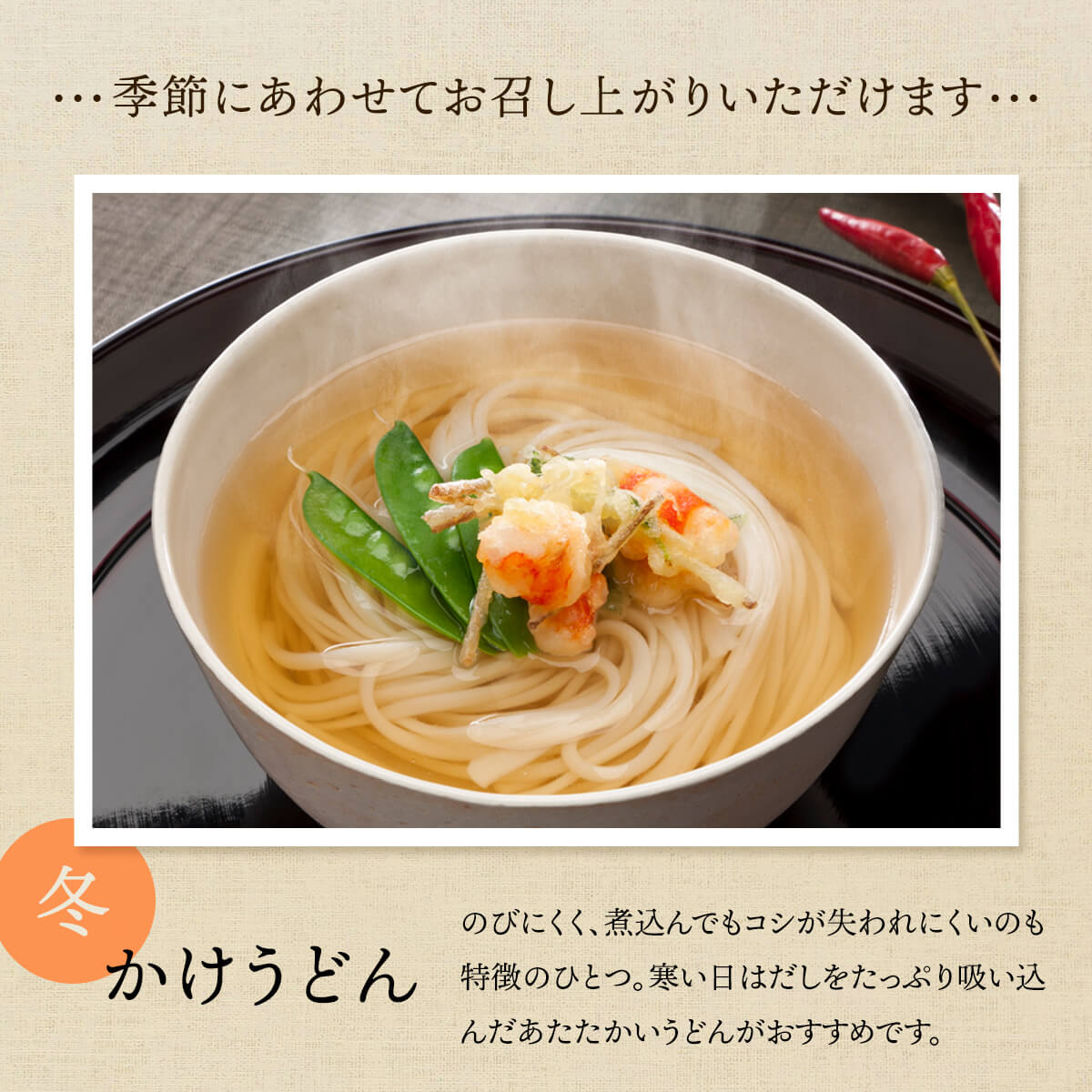 【3回連続定期便】 海津屋　氷見うどんセット 乾麺 定期便 