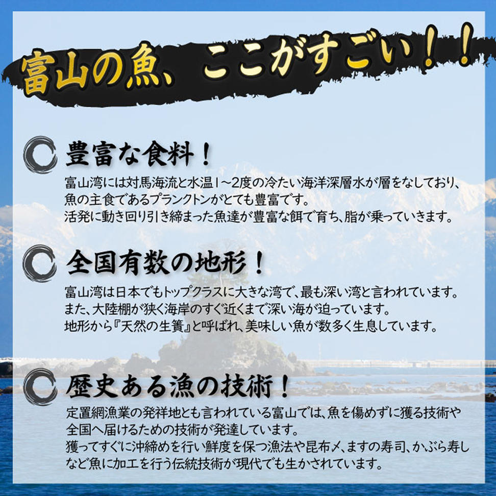 【氷見の天然寒ぶり】冬の味覚限定セット ＜2025年12月中旬