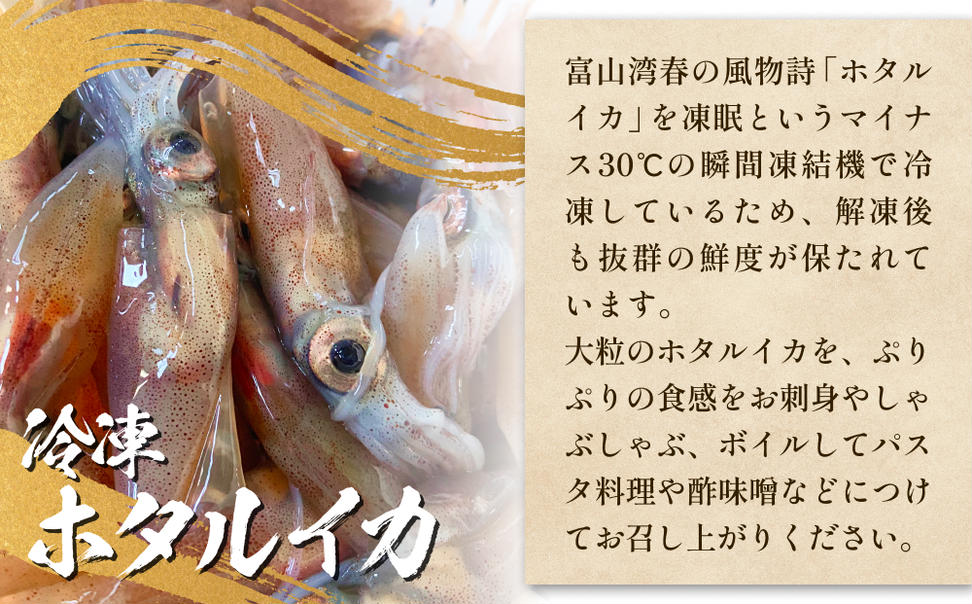 ほたるいか三昧 ホタルイカ イカ 漬け 素干し 富山県 氷見