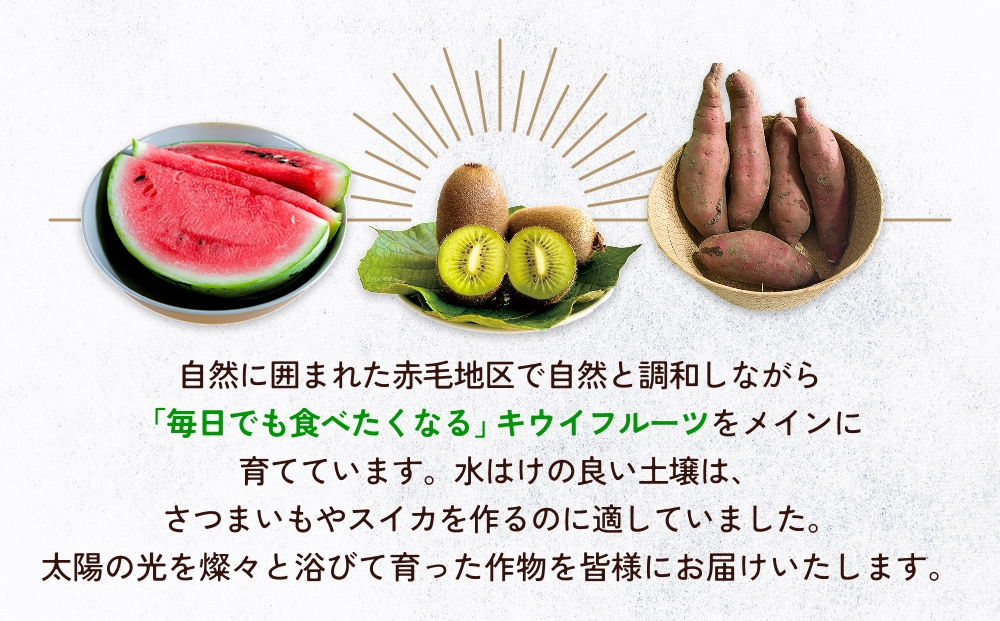 【先行予約】富山県産スイカ 羅皇 中玉 1玉 （3-4kg/玉） 【20