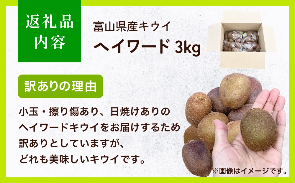 【先行予約】 訳ありヘイワード3kg（小玉、異形、擦り傷、