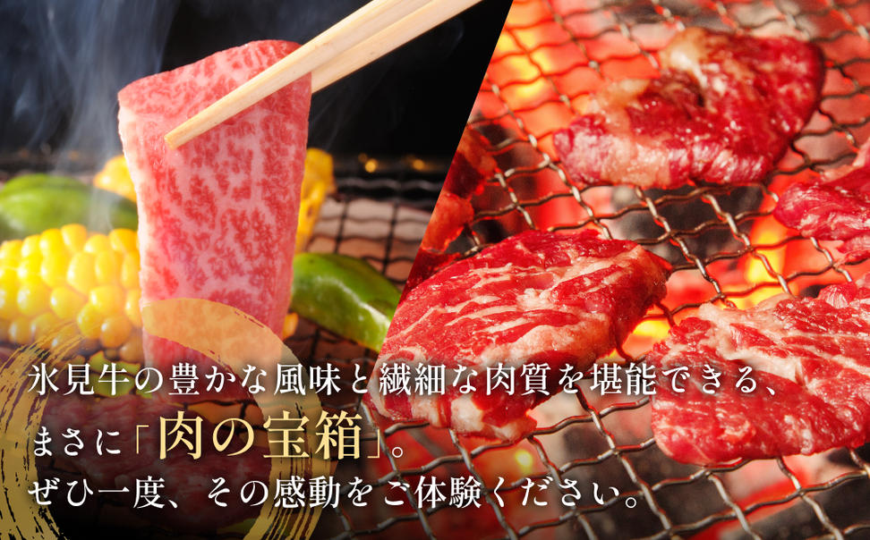氷見牛焼肉玉手箱 牛肉 焼肉 BBQ アウトドア ロース カルビ 