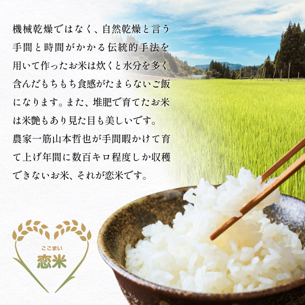 富山県産コシヒカリ 10kg　恋米（ここまい） 天風穂（あま