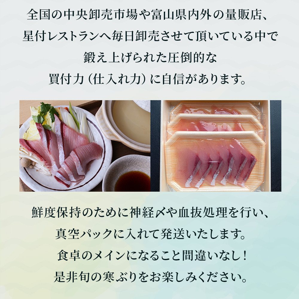 氷見産 天然寒ぶり ぶりしゃぶ 3パック 3-4人前 | 釣屋魚問屋