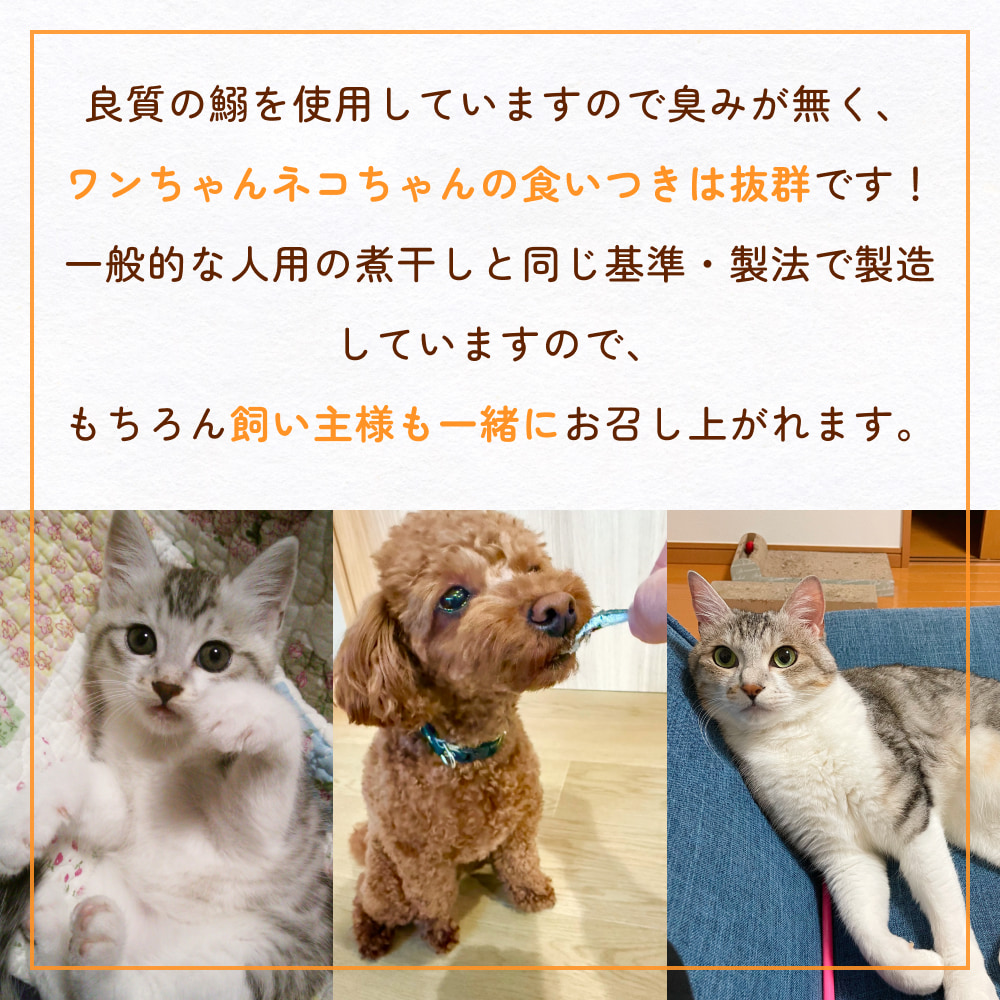 無塩加工煮干し 煮干し屋のわんにゃんおやつ 70g×10袋 無塩 