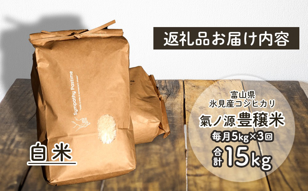 ＜3ヶ月定期便＞ 令和7年産 富山県産コシヒカリ 5kg お米自