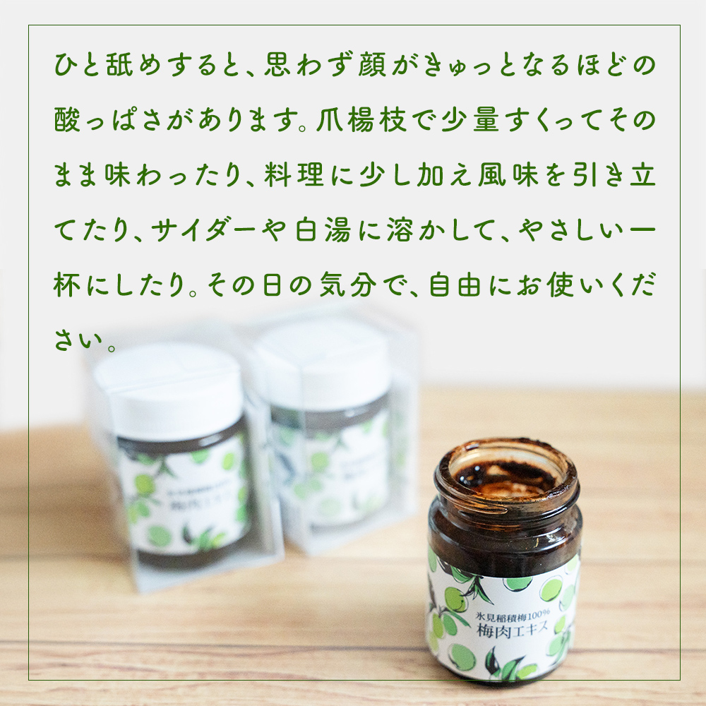 梅肉エキス 氷見稲積梅100% 2個 富山県 氷見市 国産 うめ 青