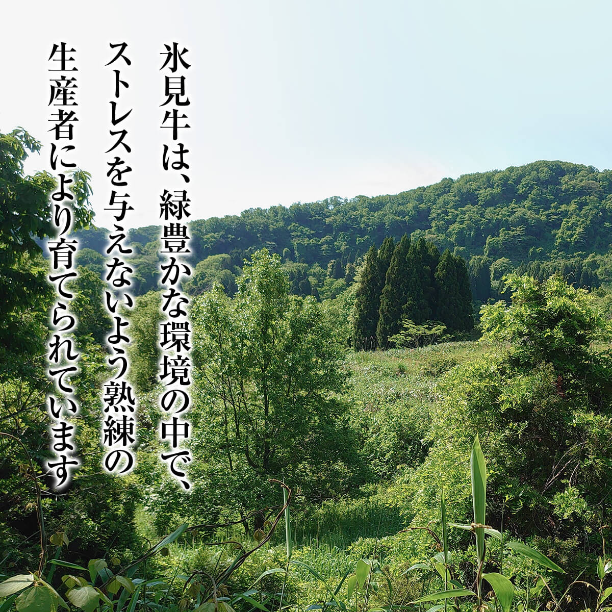 A4ランク以上！氷見牛のももを使ったサイコロステーキ940g