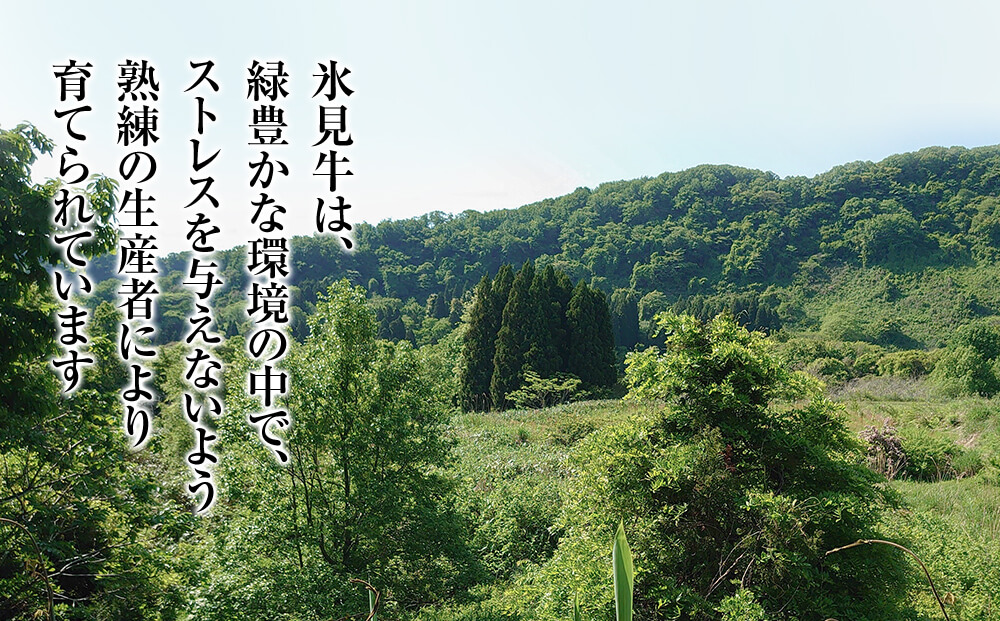 A4ランク以上！氷見牛のももを使ったサイコロステーキ220g 