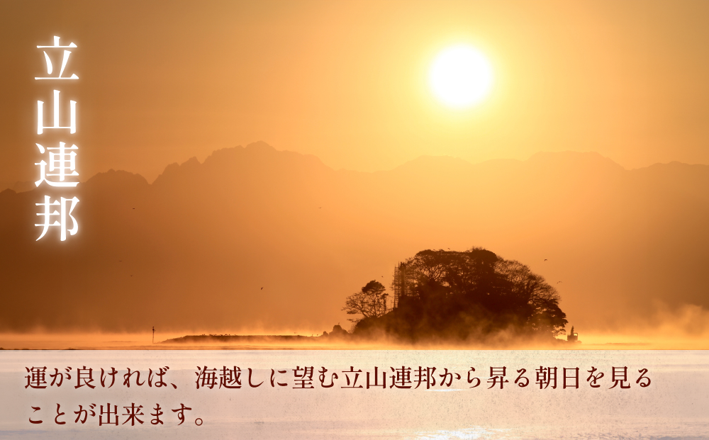 氷見１泊２食付き宿泊 補助券 （20,000円分） ｜宿泊券 クー