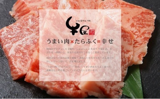 【２回定期便】極上の黒毛和牛氷見牛のステーキ用＆すき