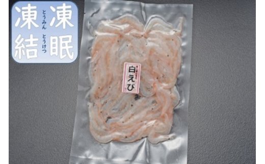 富山湾の神秘”ほたるいか”と富山湾の宝石”白エビ”セ