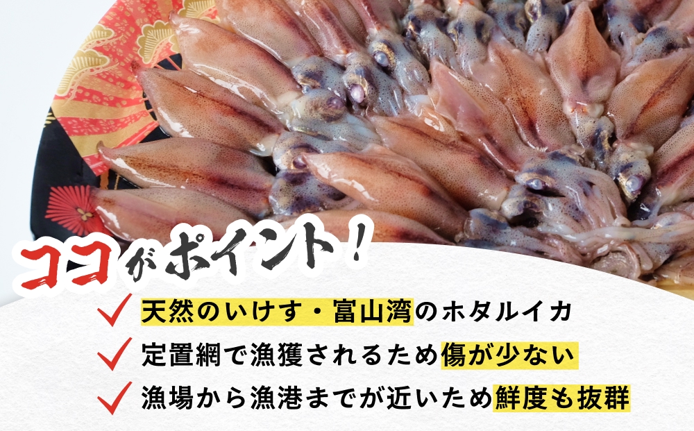 鮮度そのまま！富山湾の神秘ホタルイカ しゃぶしゃぶ用 200