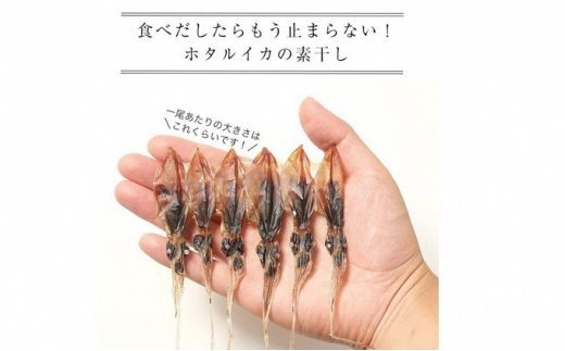越中氷見屋　ホタルイカ 魚醤干し 18尾入り × 18袋　【魚貝