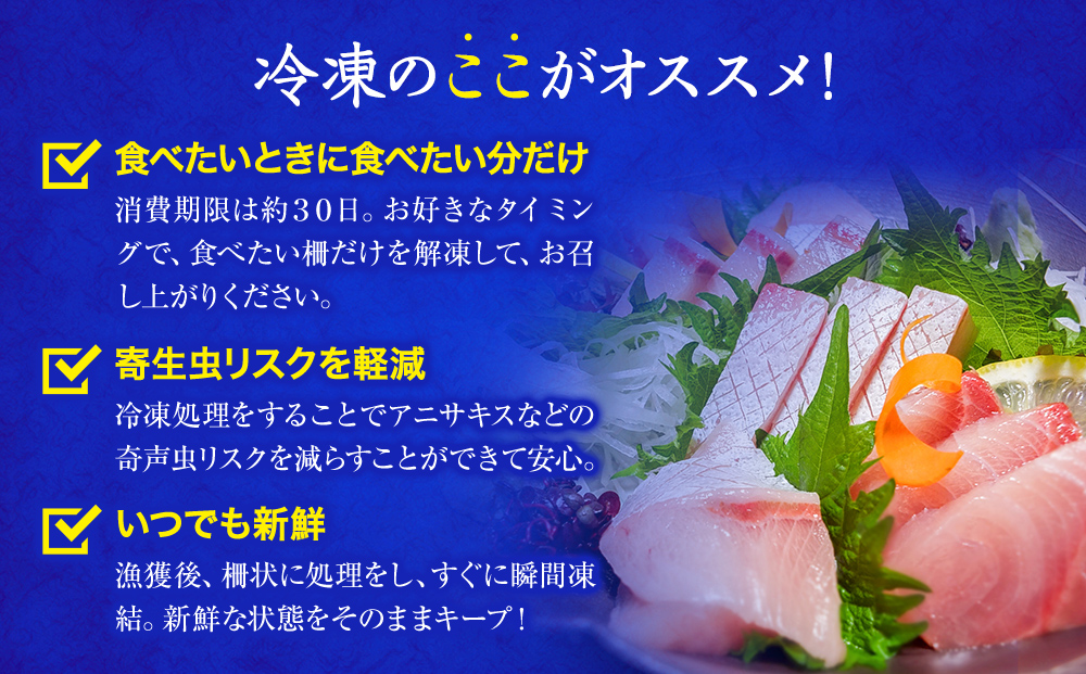 【偶数月 全3回 定期便】氷見漁港で競り落としたお刺身詰