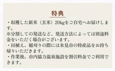 令和６年度 長坂棚田　オーナー会員（１区画）