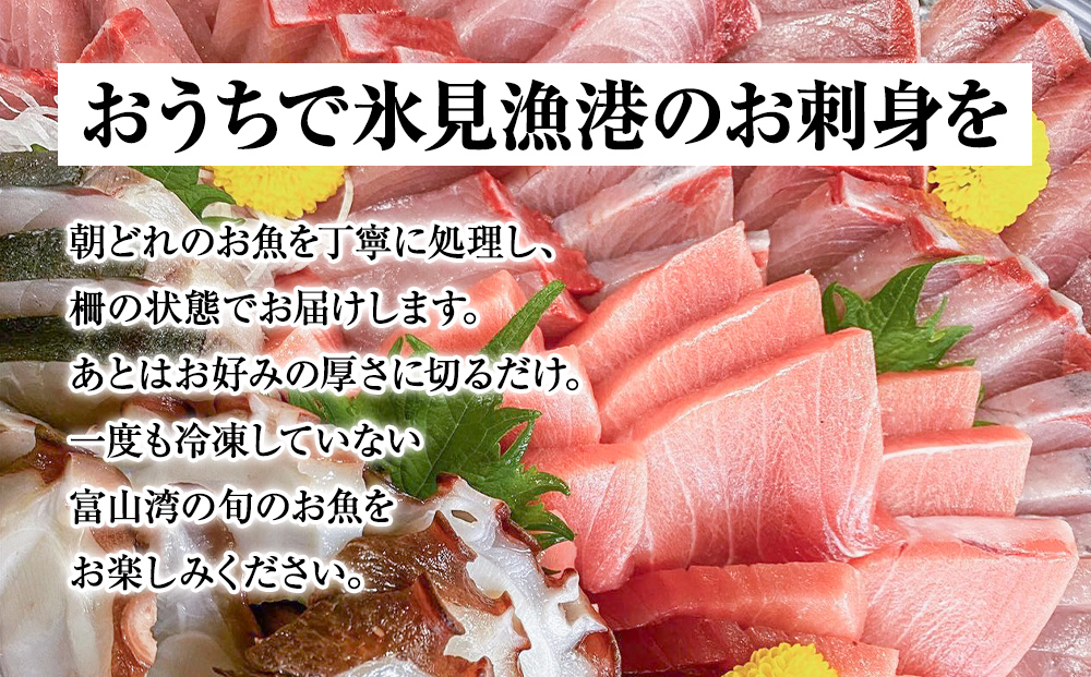 【配送地域限定】 産地直送 氷見漁港 朝どれ鮮魚お刺身セ