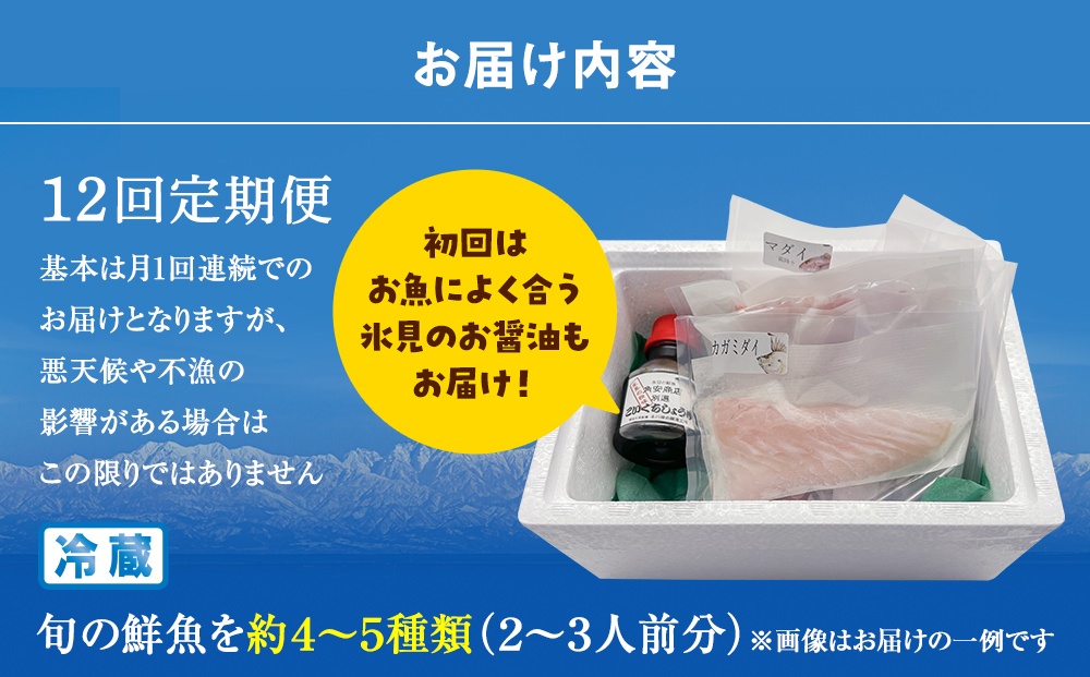 【配送地域限定】 産地直送 氷見漁港 朝どれ鮮魚お刺身セ