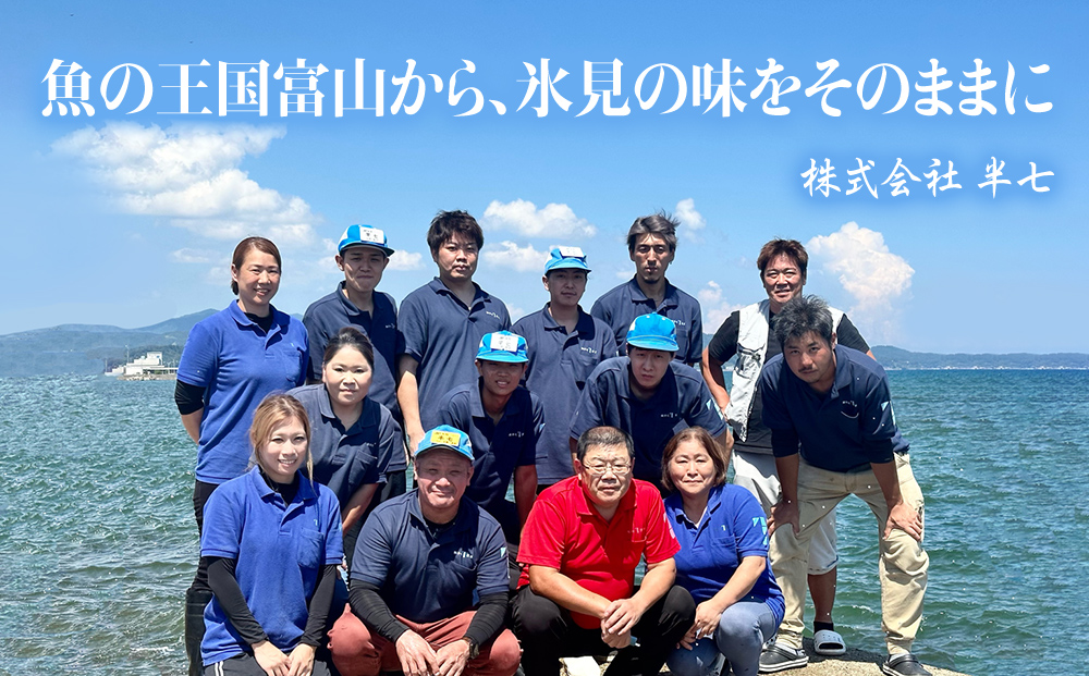 【隔月4回定期便】氷見港朝獲れ高級魚！丸っと贅沢直送便