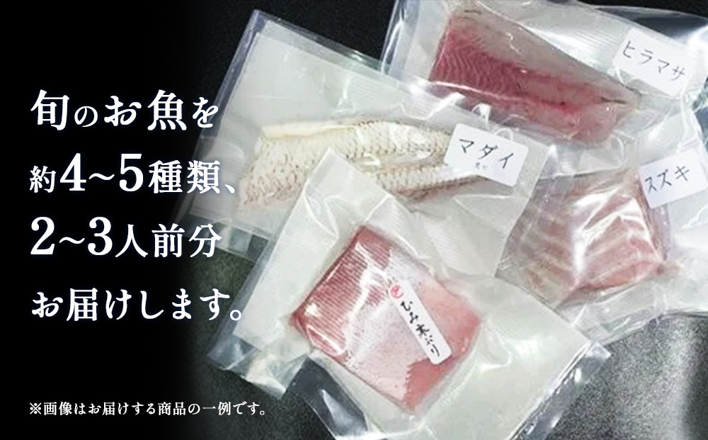 【1月配送開始】 〈配送地域限定〉 産地直送 氷見漁港 朝ど