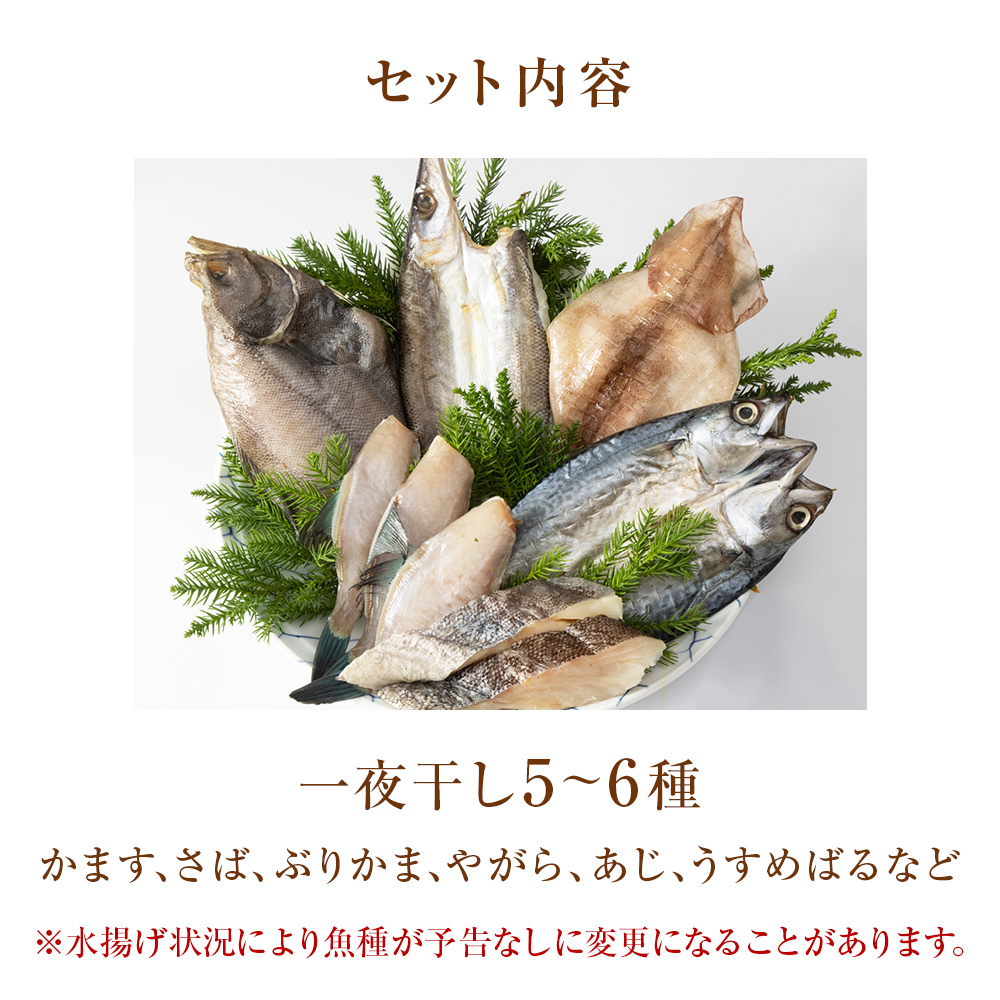 一夜干し詰合せ 富山県 氷見市 干物 一夜干し 詰め合わせ 