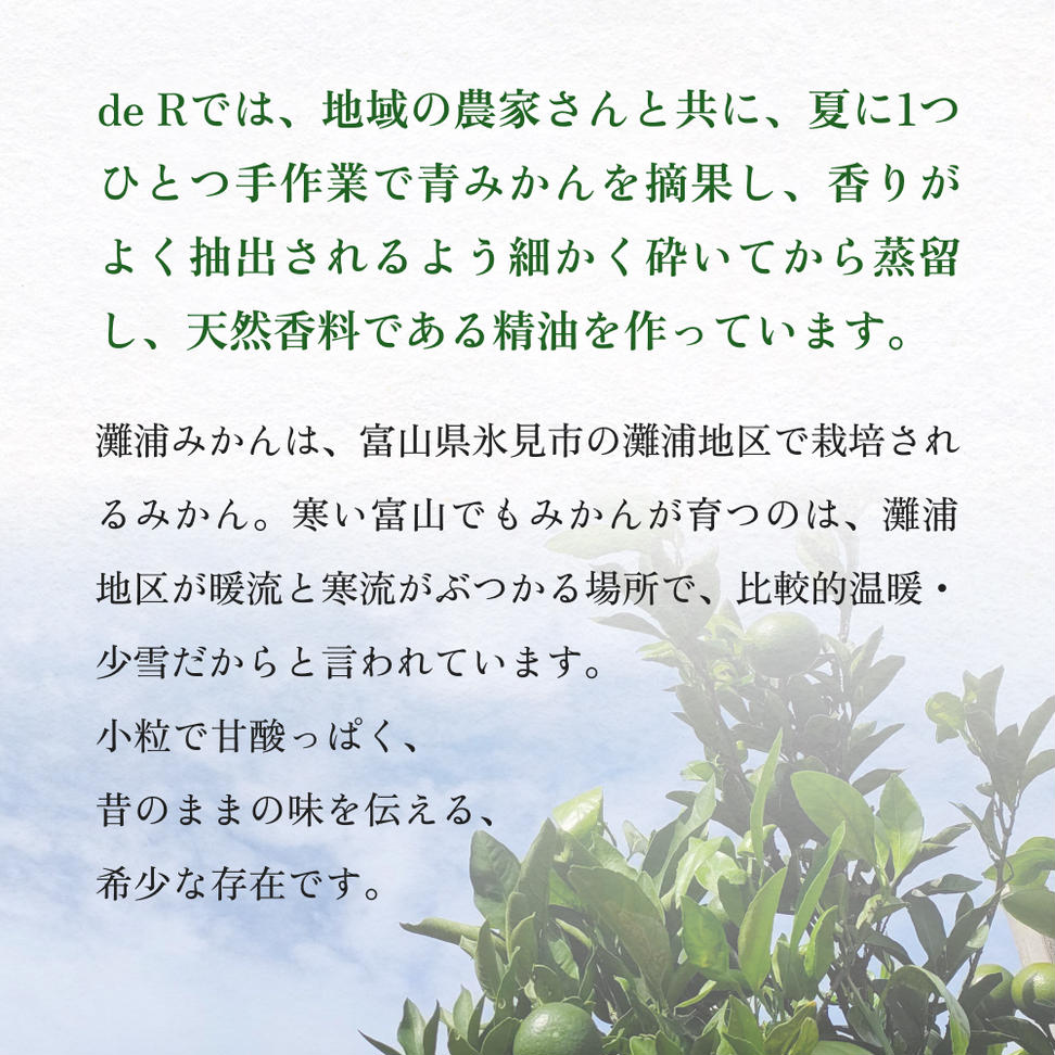 de R  灘浦みかん　Hair ＆ Skin Oil 30ml（de R 001オイル 灘浦みか