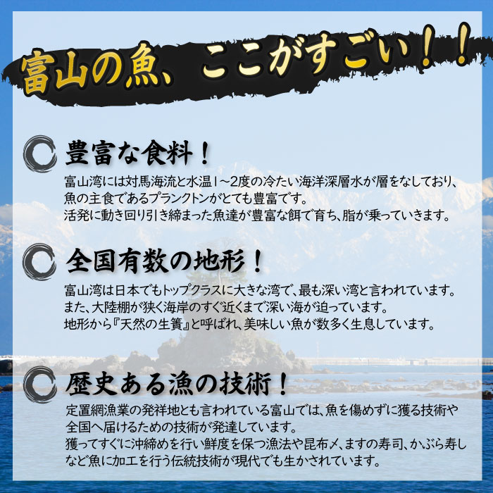 【お試しサイズ!】氷見天然ブリしゃぶしゃぶ用150g〈冷凍〉