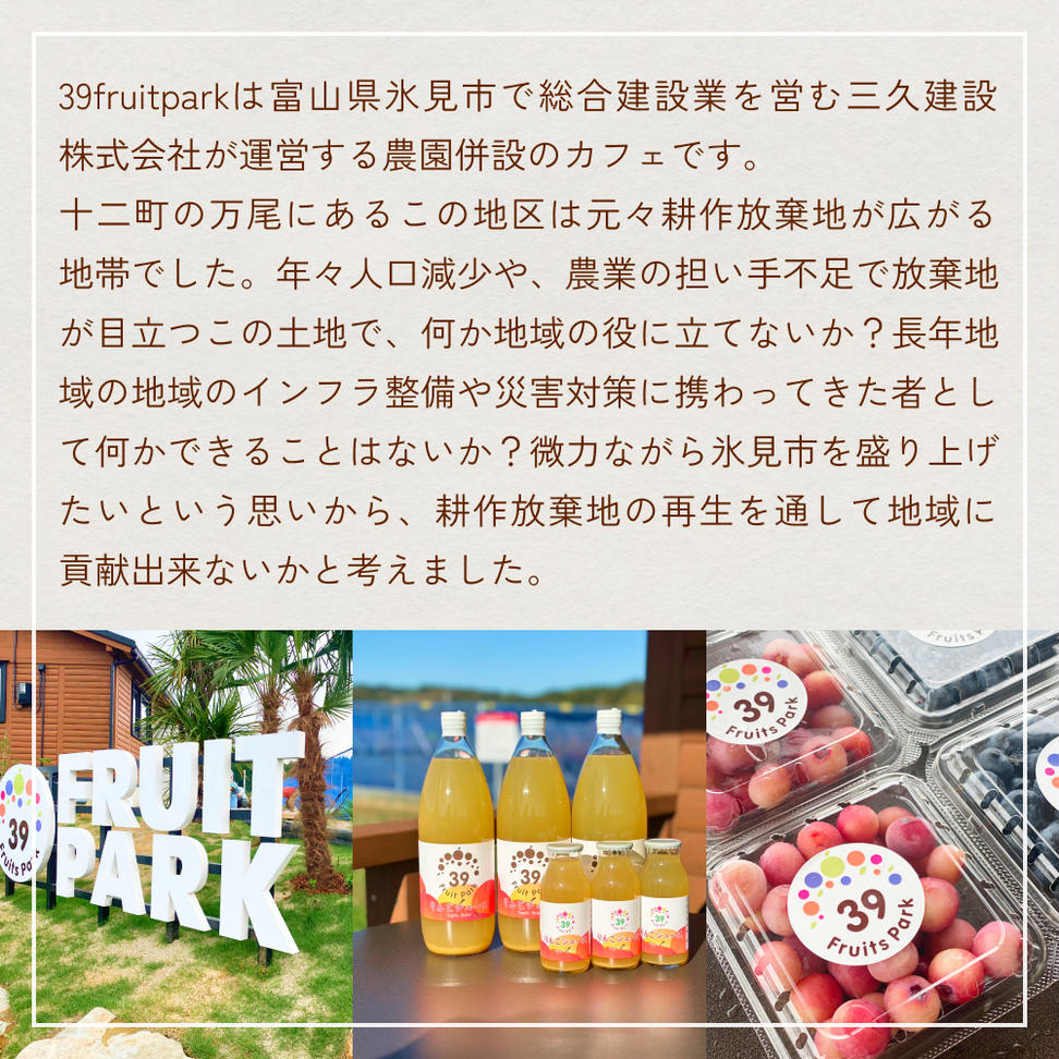 ブルーベリー摘み取り体験 小4パック（500～600グラム程度）