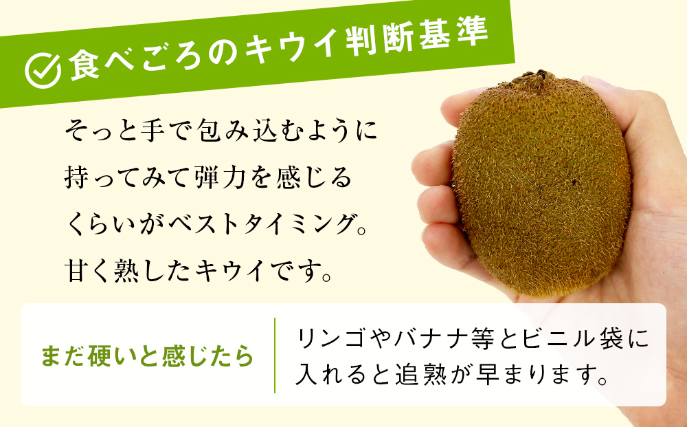 【先行予約】富山県産キウイ（ヘイワード）1kg以上（８～12
