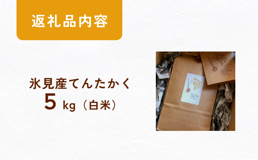 令和7年産 富山県氷見産 てんたかく白米 5kg 富山県 氷見市 