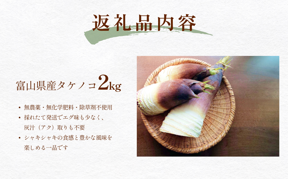 富山県産 旬の 天然 タケノコ 2kg 朝掘り 採れたて発送 ＜農