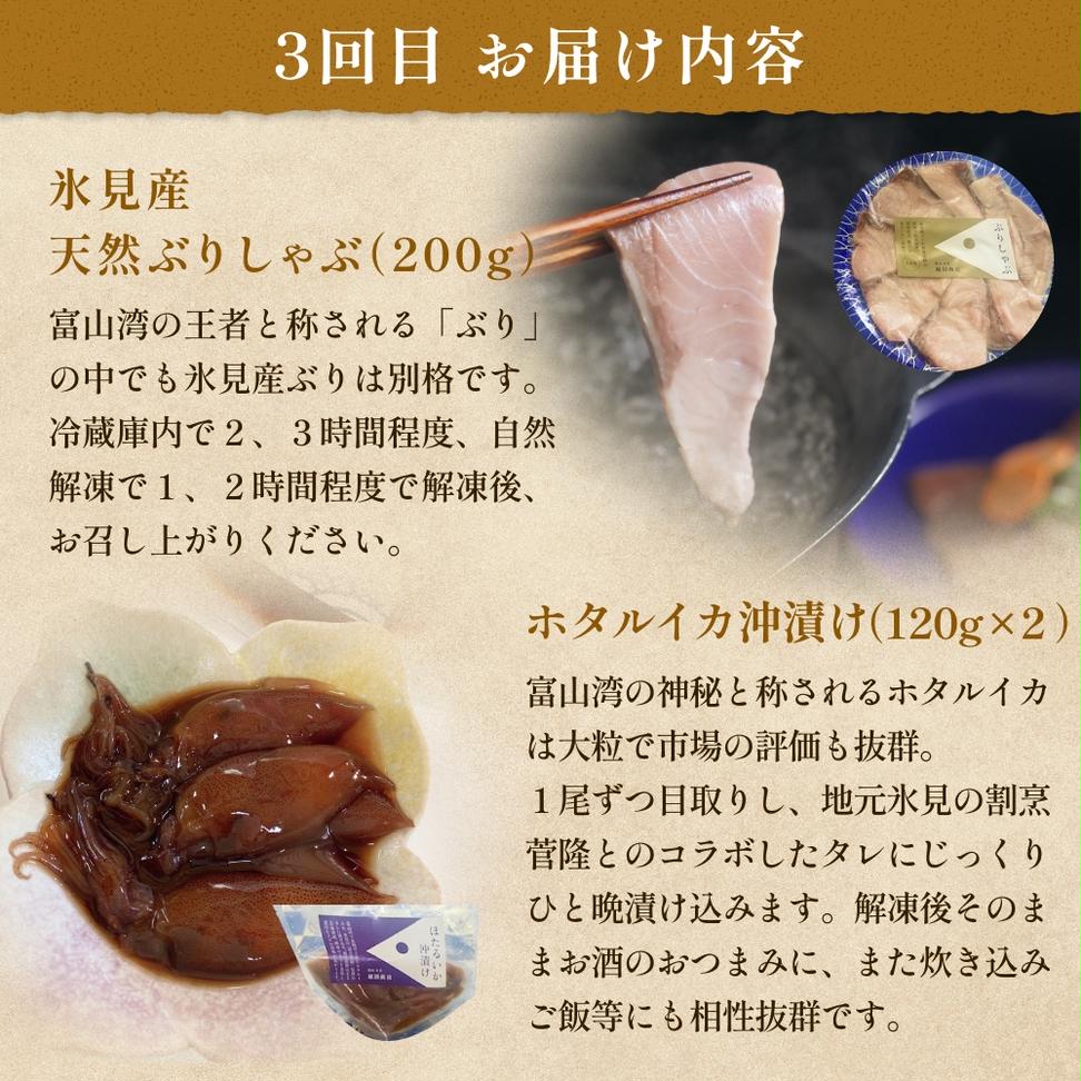 ＜3回定期便＞ご飯のお供定期便 富山県 氷見市 白エビぶり 